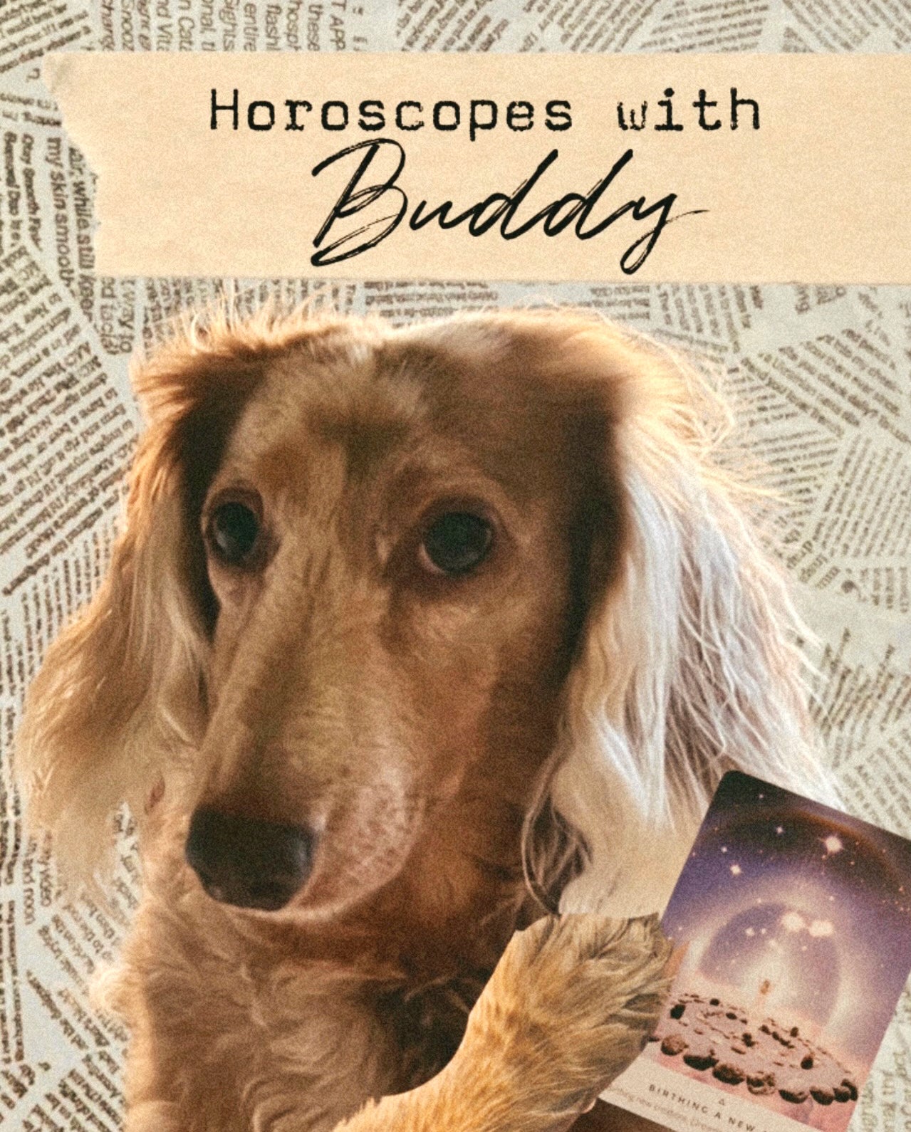 November Horoscopes with Buddy - 2023