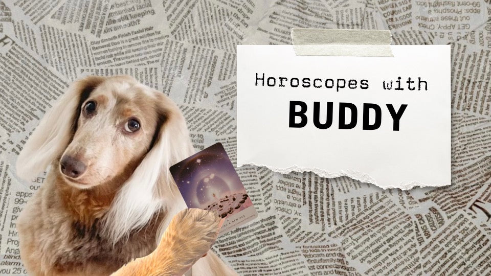 April Horoscopes with Buddy - 2024