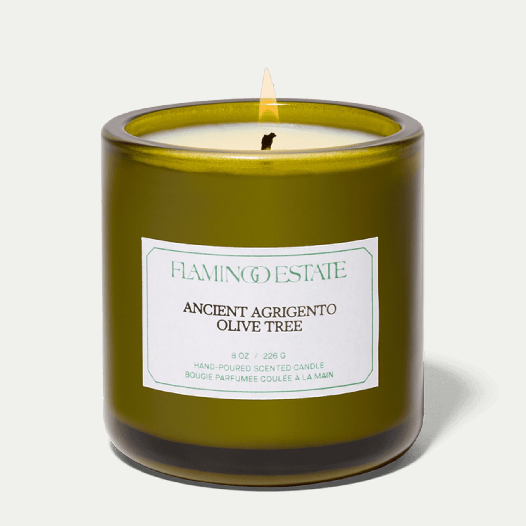 Ancient Agrigento Olive Tree Candle