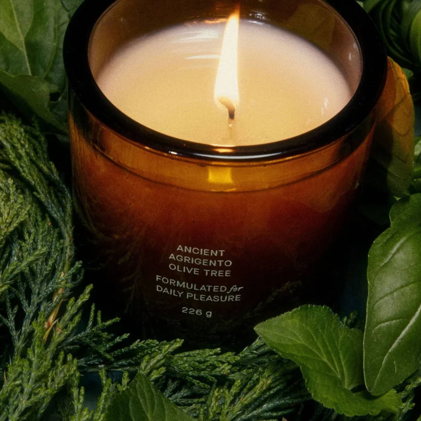 Ancient Agrigento Olive Tree Candle