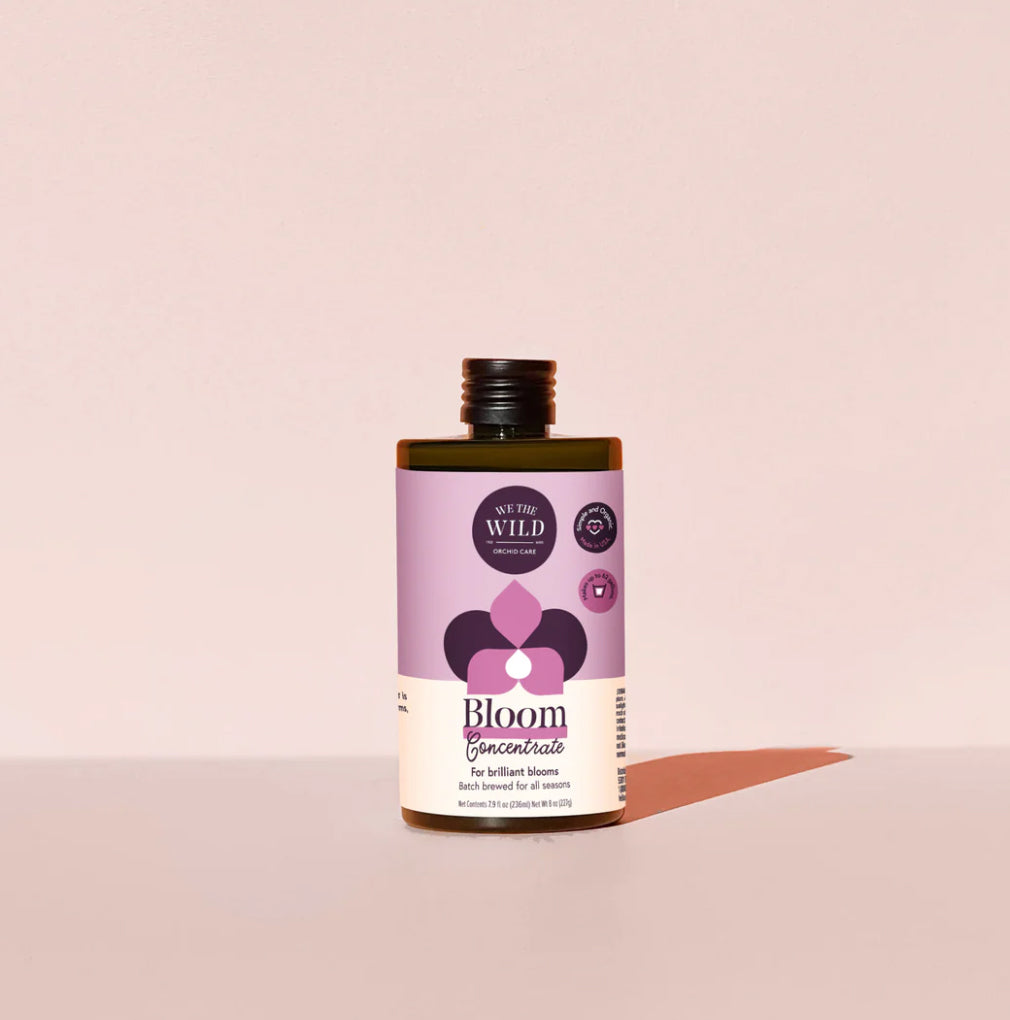 Bloom Concentrate
