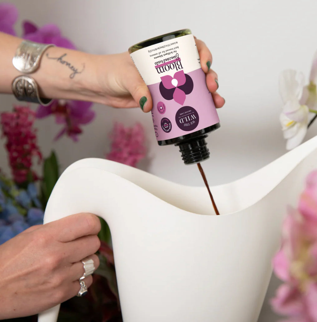 Bloom Concentrate