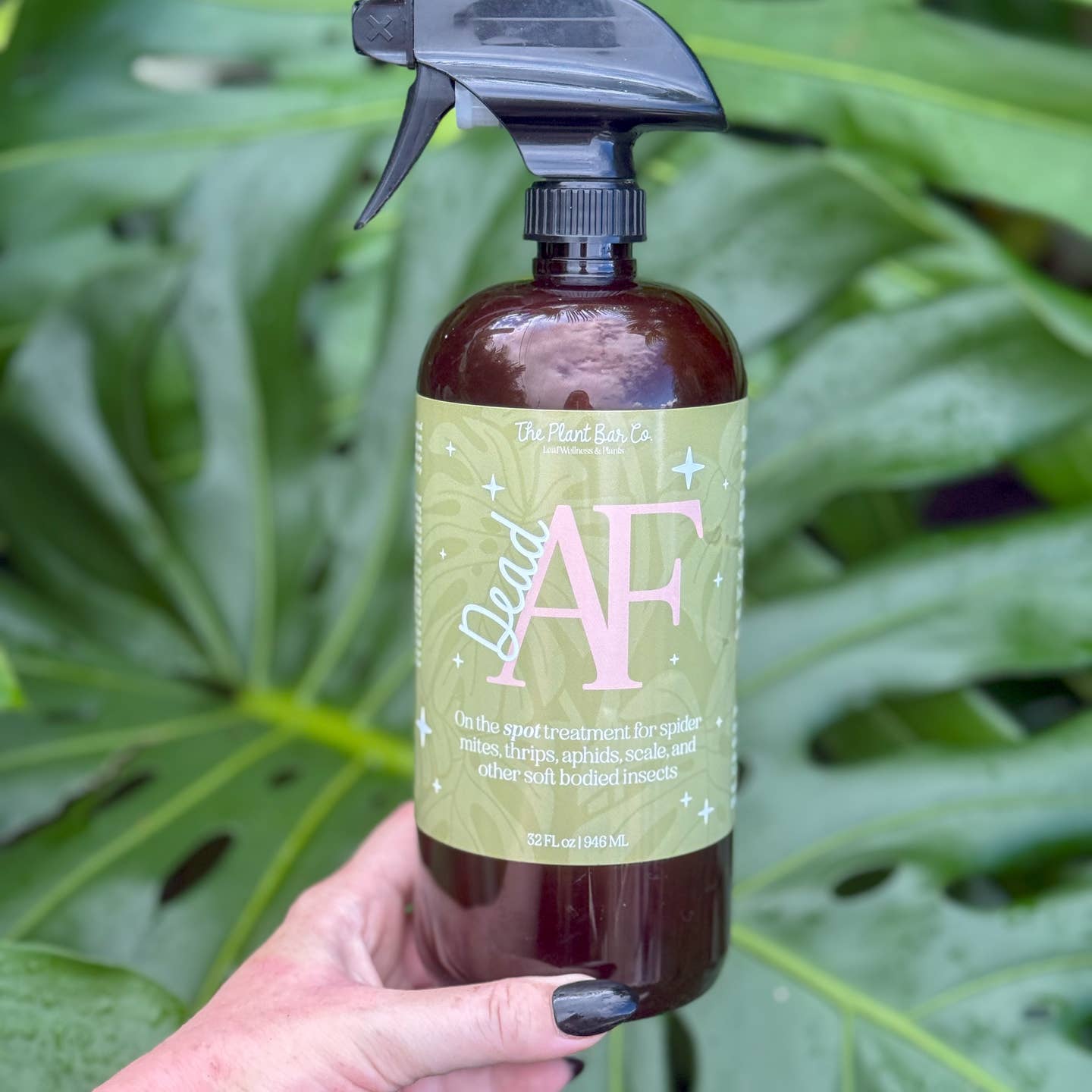 Dead AF Insect Treatment