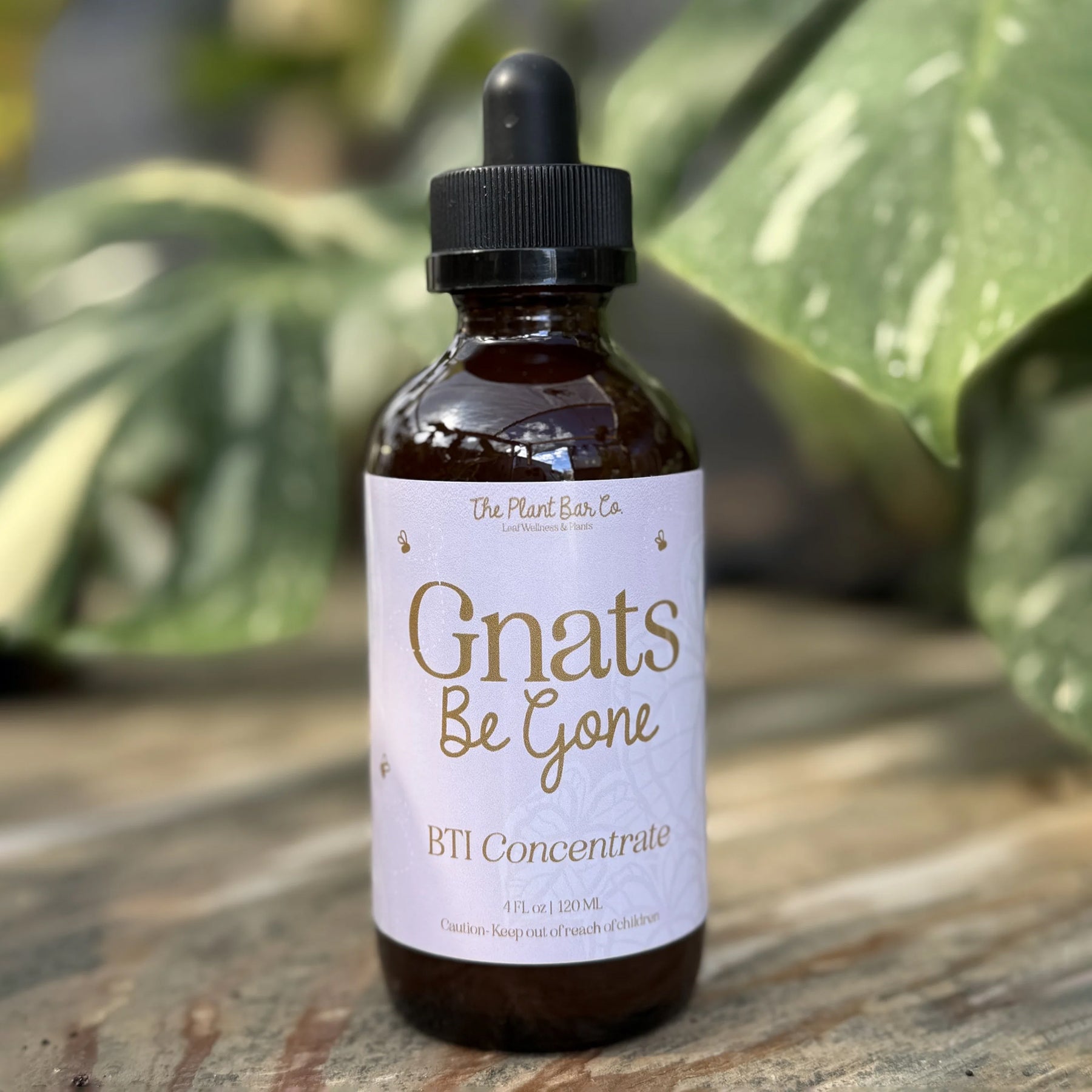 Gnats Be Gone