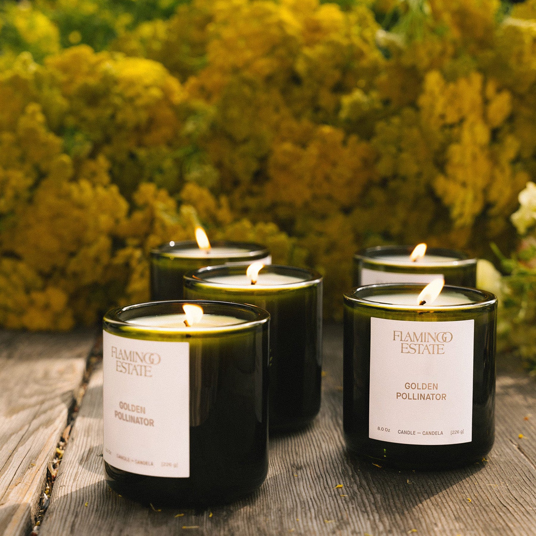 Golden Pollinator Candle