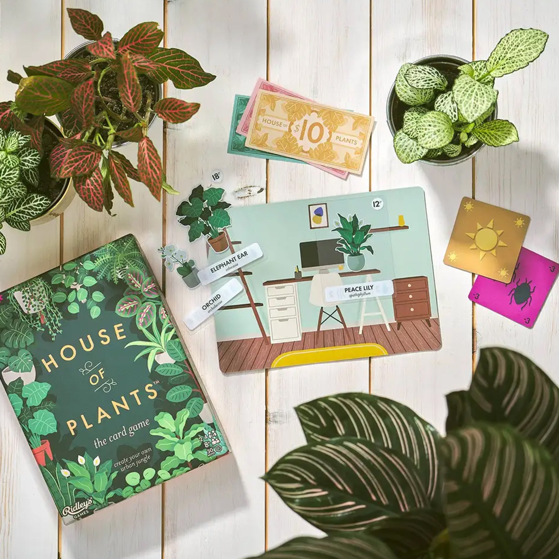 House of Plants Card Game