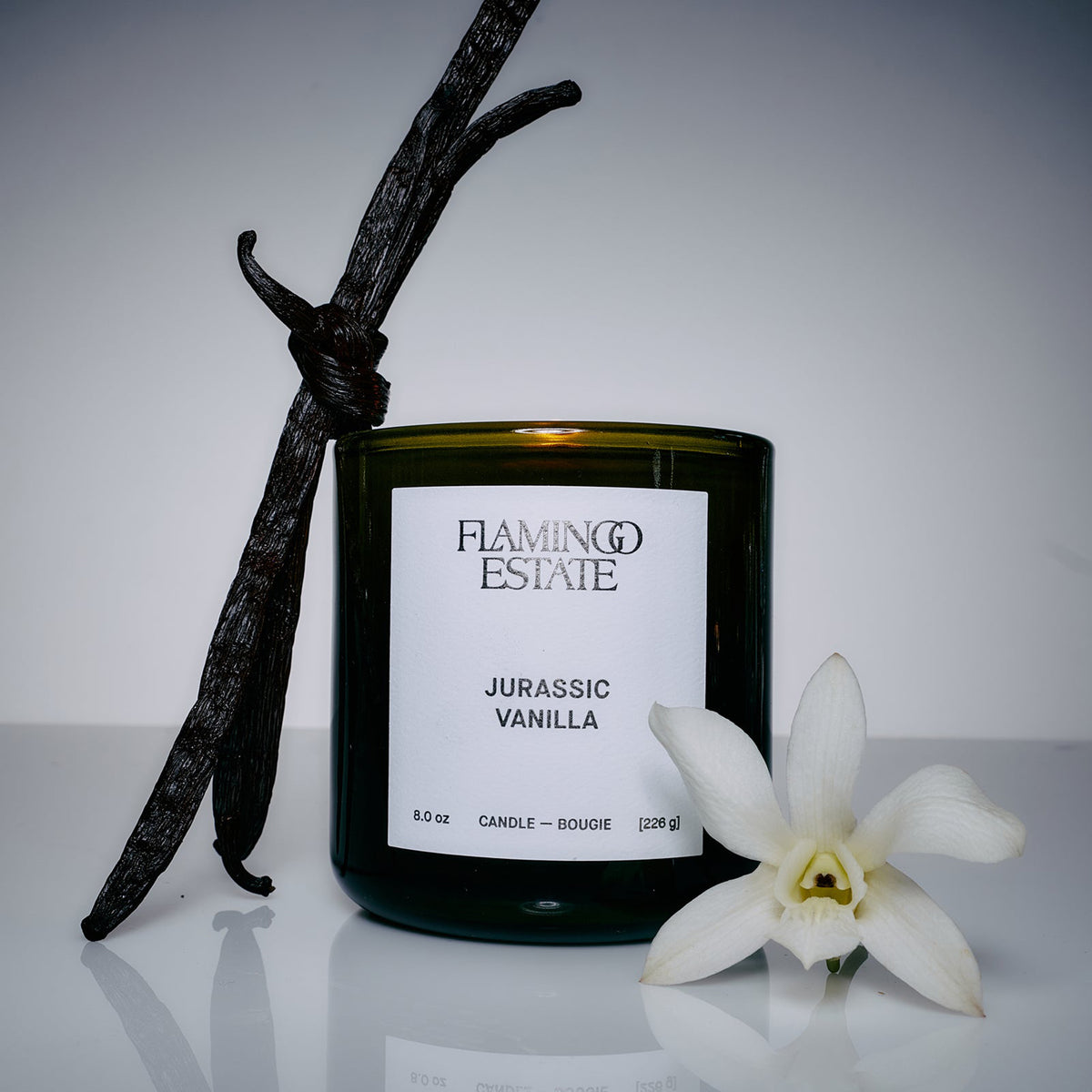 Jurassic vanilla candle jar with vanilla bean next to it and an orchid flower