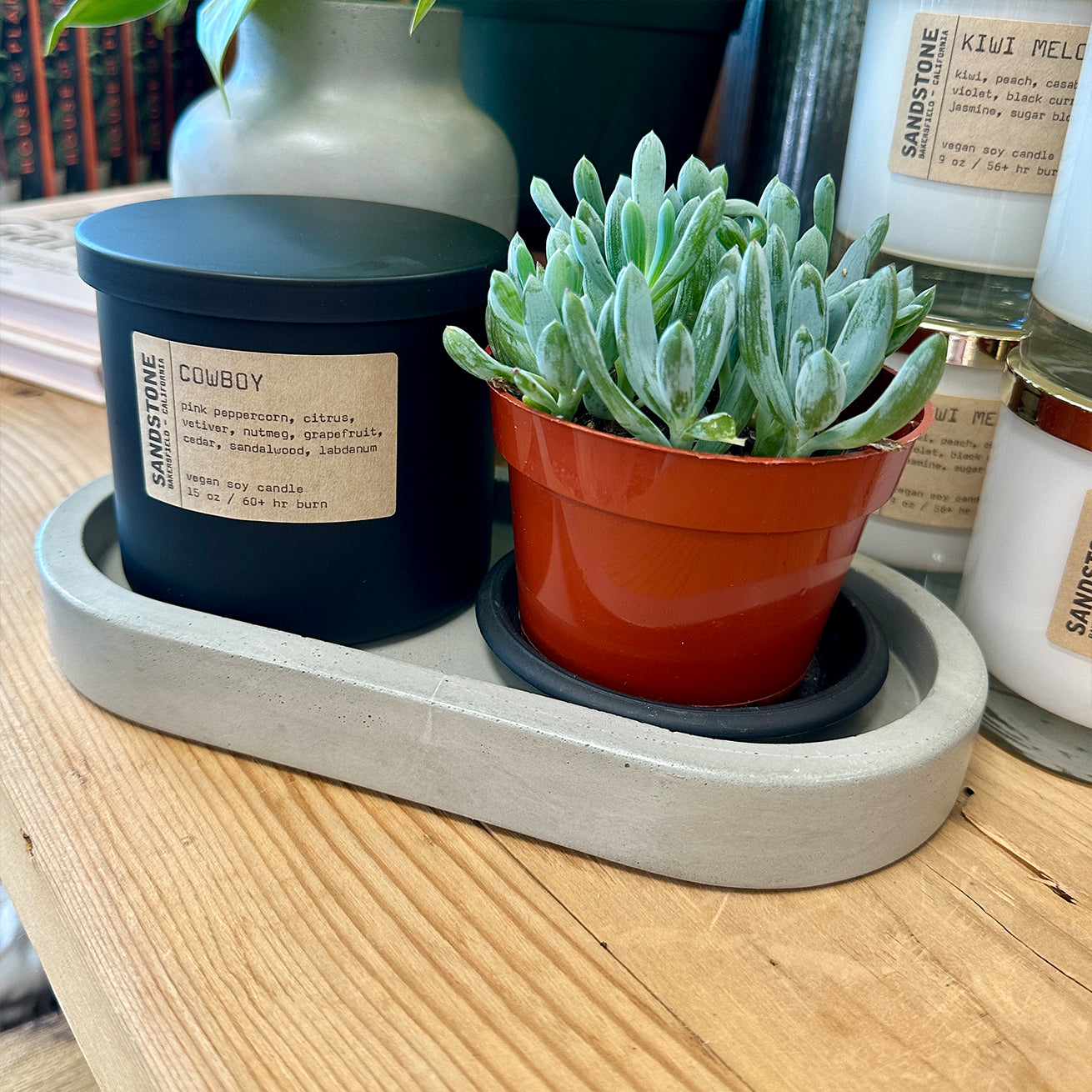 Mammoth Pill Tray