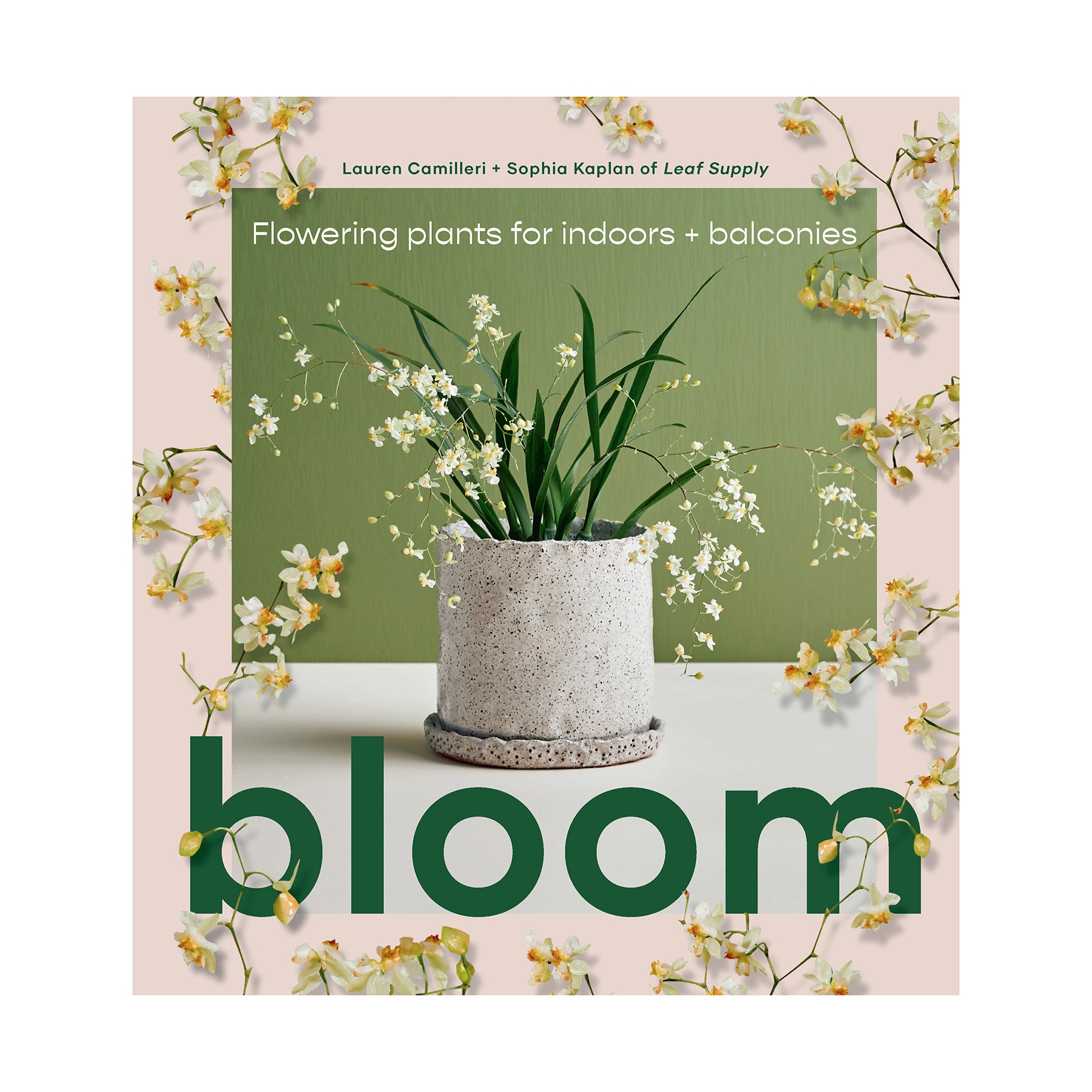 Bloom