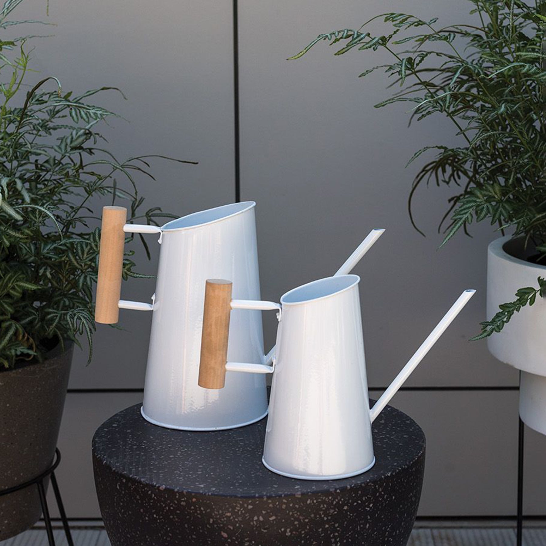 Preston Watering Can