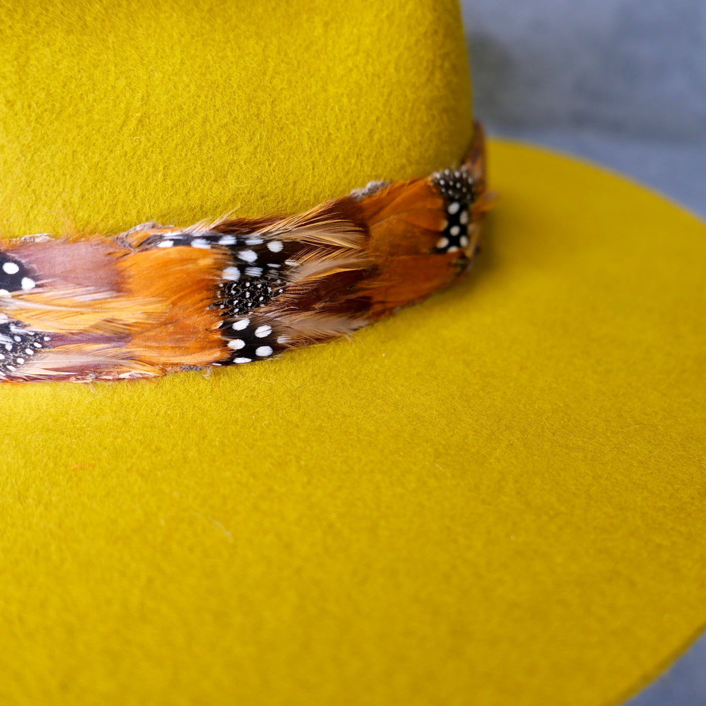 
                  
                    Gypsy Rebel Classic Felt
                  
                