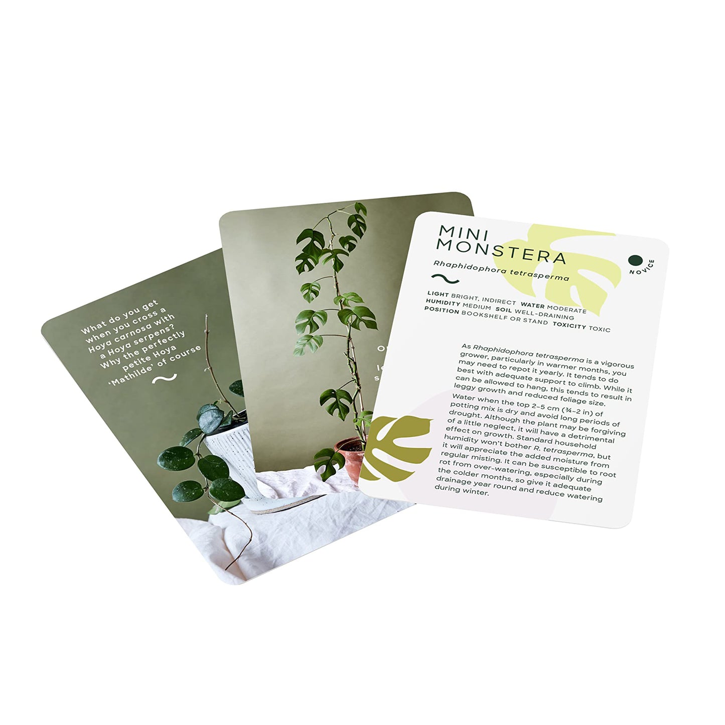 
                  
                    Deck of Plants
                  
                