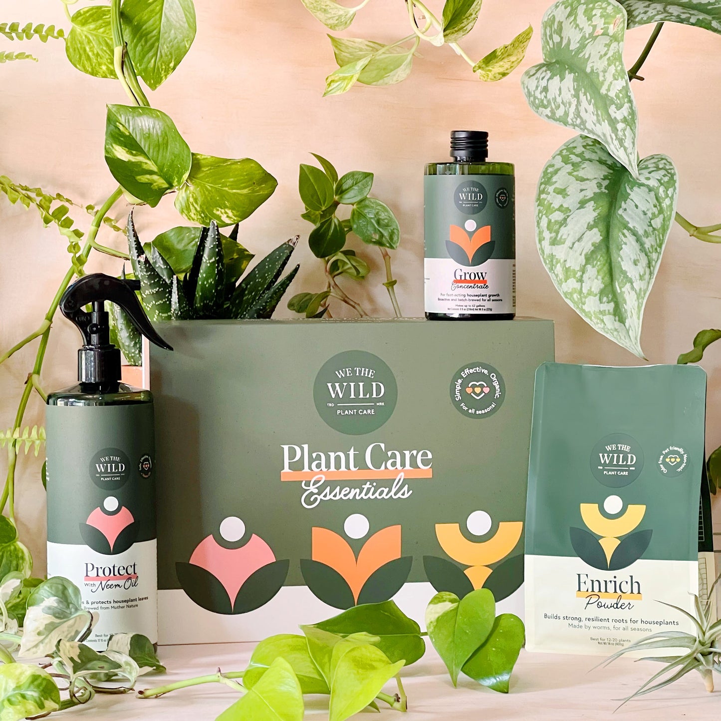 
                  
                    Essential Plant Care Kit
                  
                