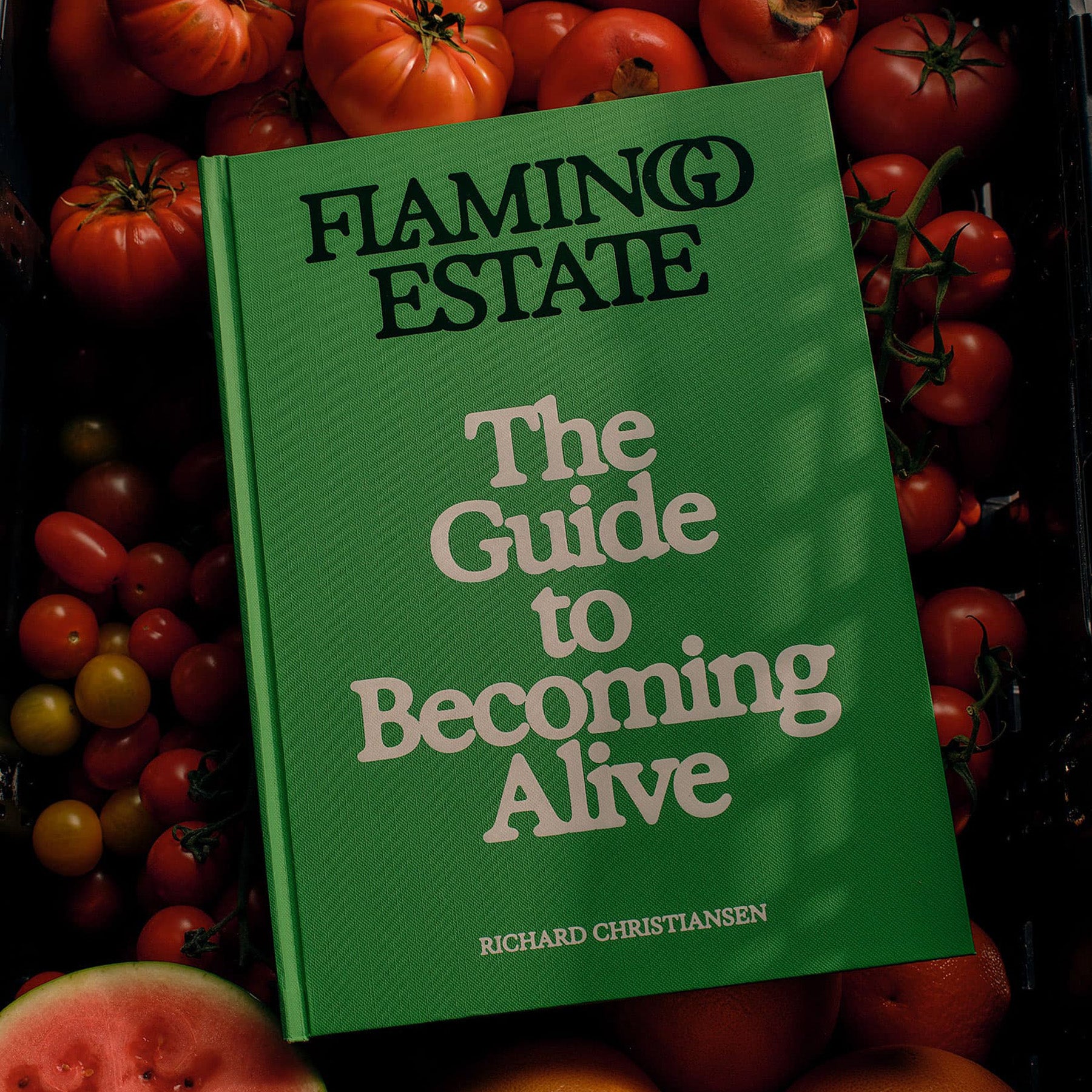 The Guide to Becoming Alive