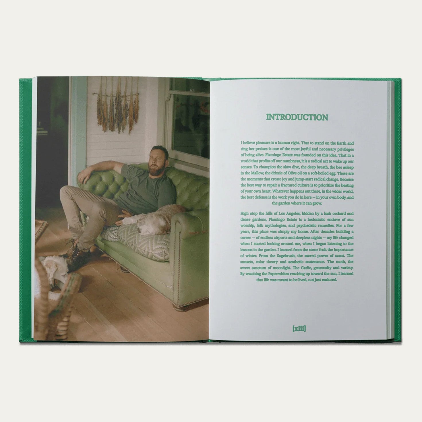 The Guide to Becoming Alive