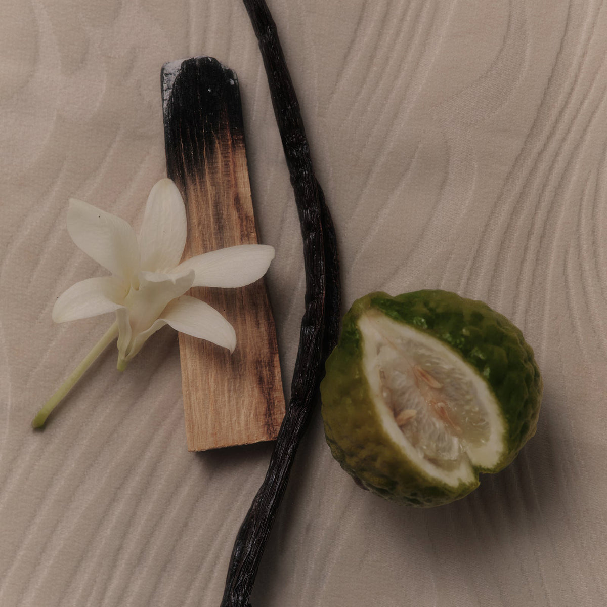 flat lay image of a vanilla bean, burn palo Santo wood, an orchid flower, and a citrus fruit.