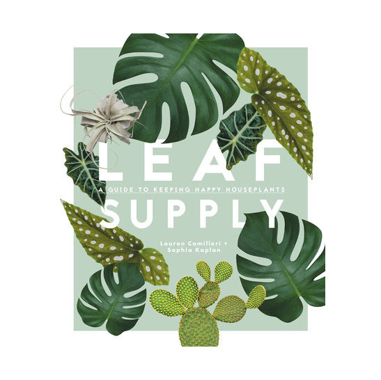 
                  
                    Leaf Supply
                  
                