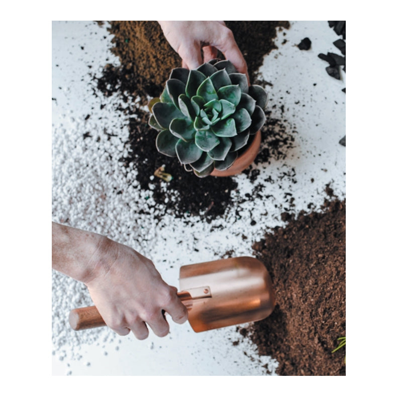Leaf Supply