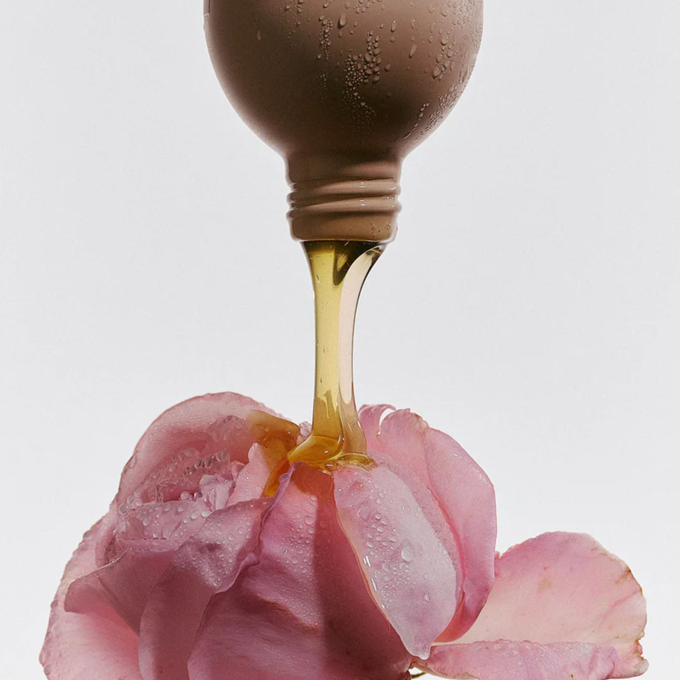 Night Blooming Jasmine & Damask Rose Hand Soap