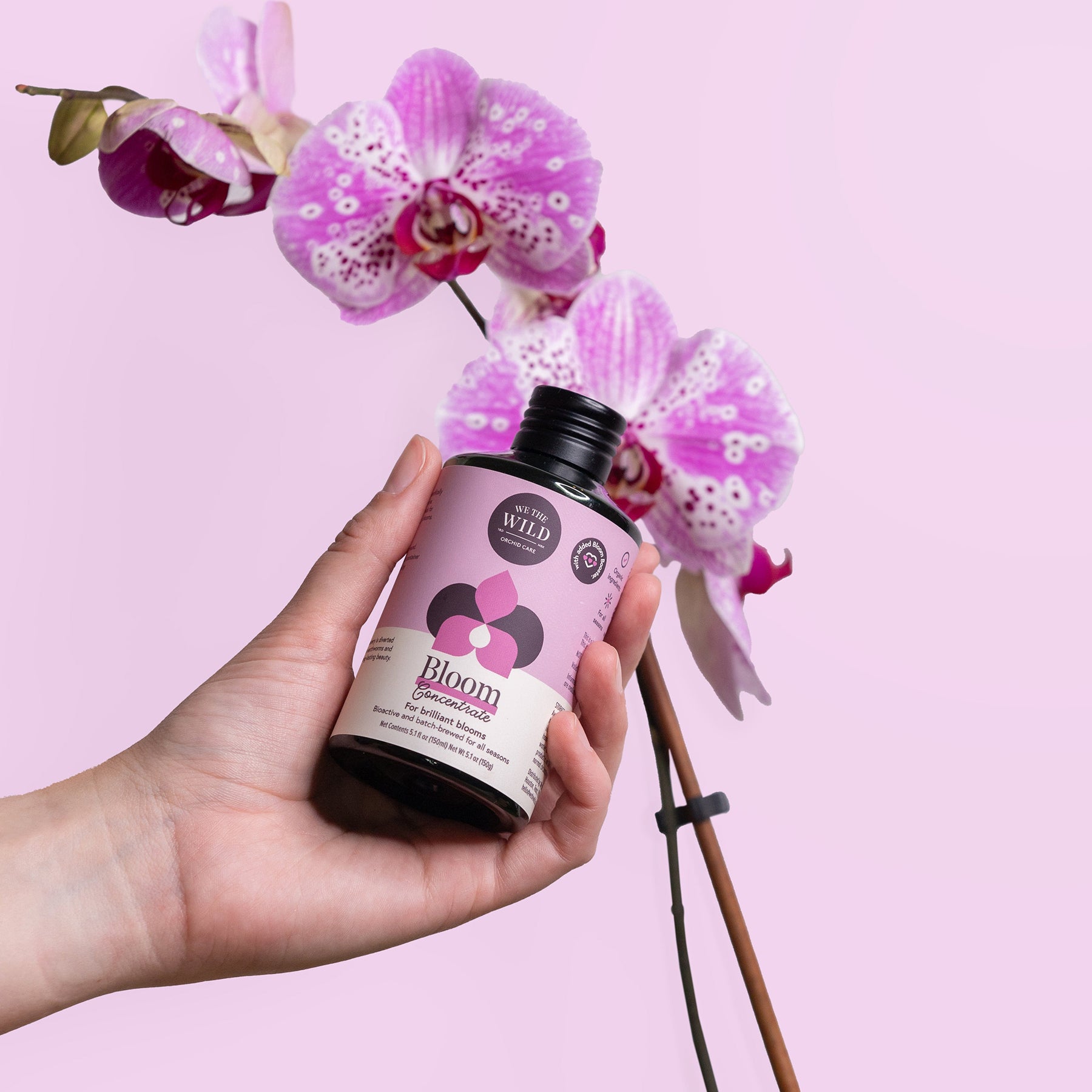 Orchid Care Kit
