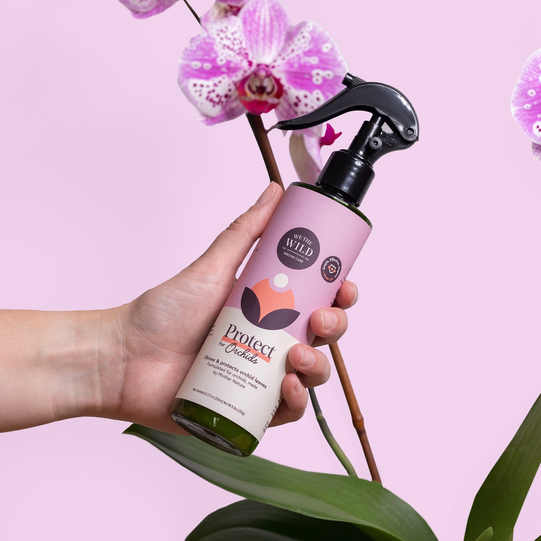 Orchid Care Kit