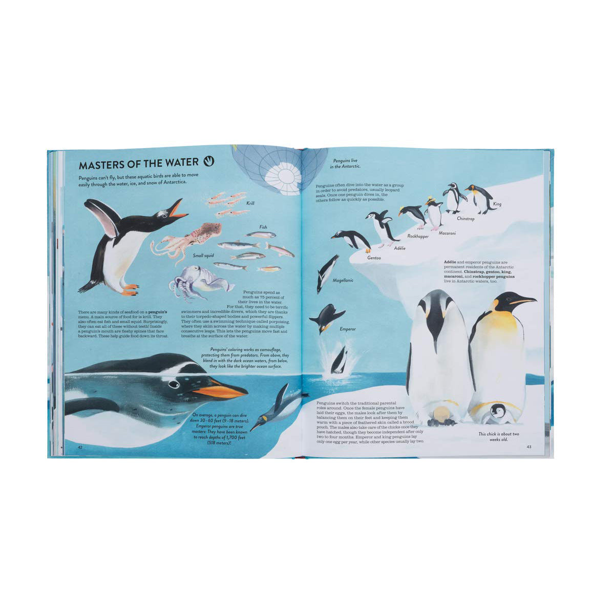 
                  
                    Penguins & Polar Bears
                  
                