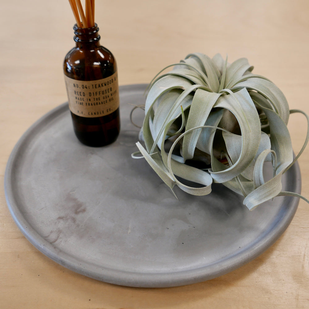 OC Round Tray - Concrete