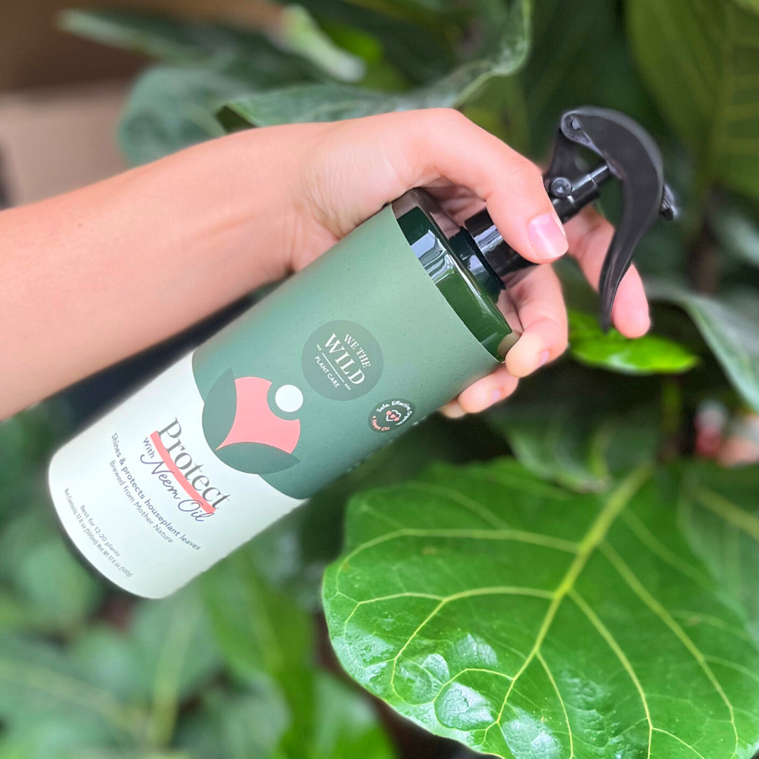 Protect Spray
