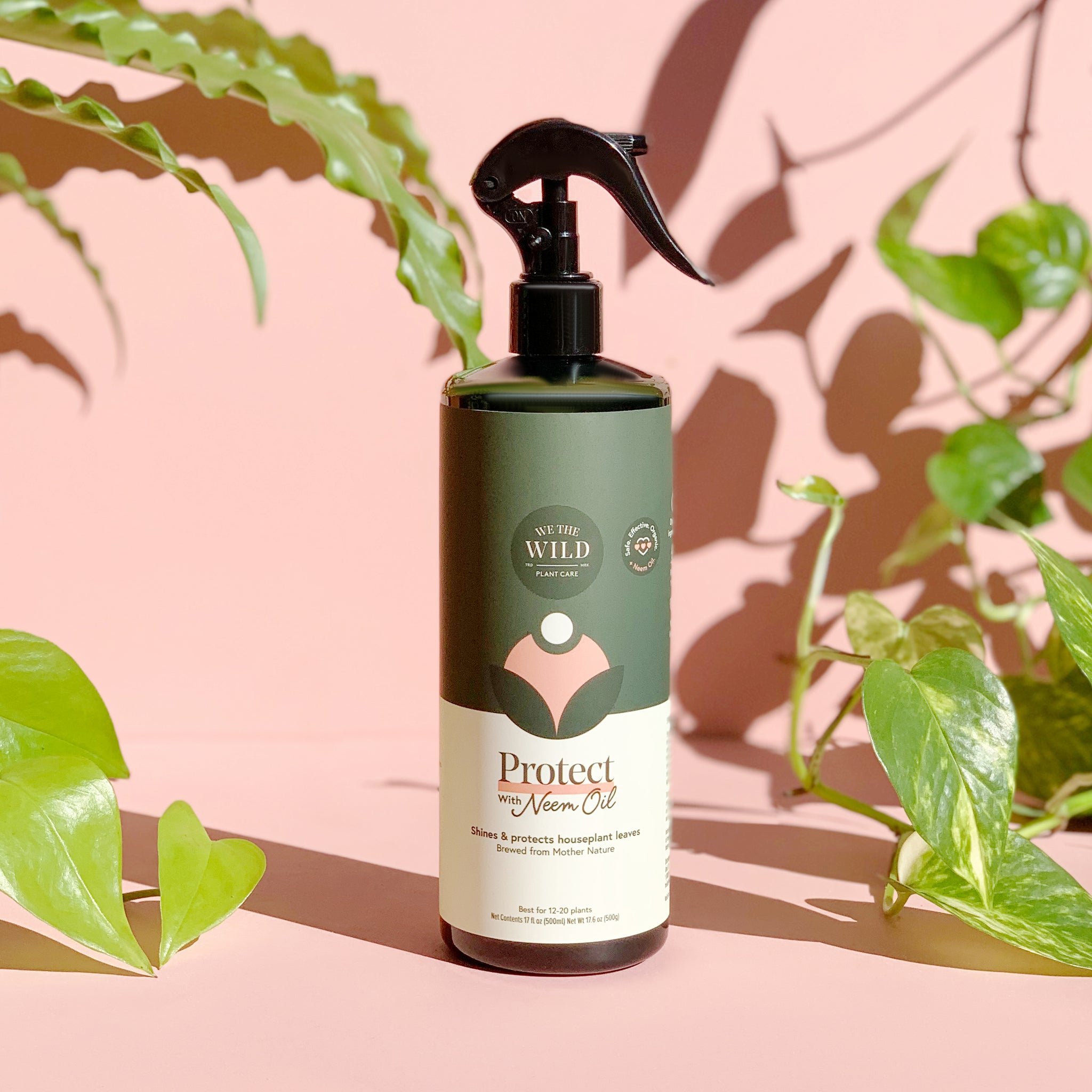 Protect Spray