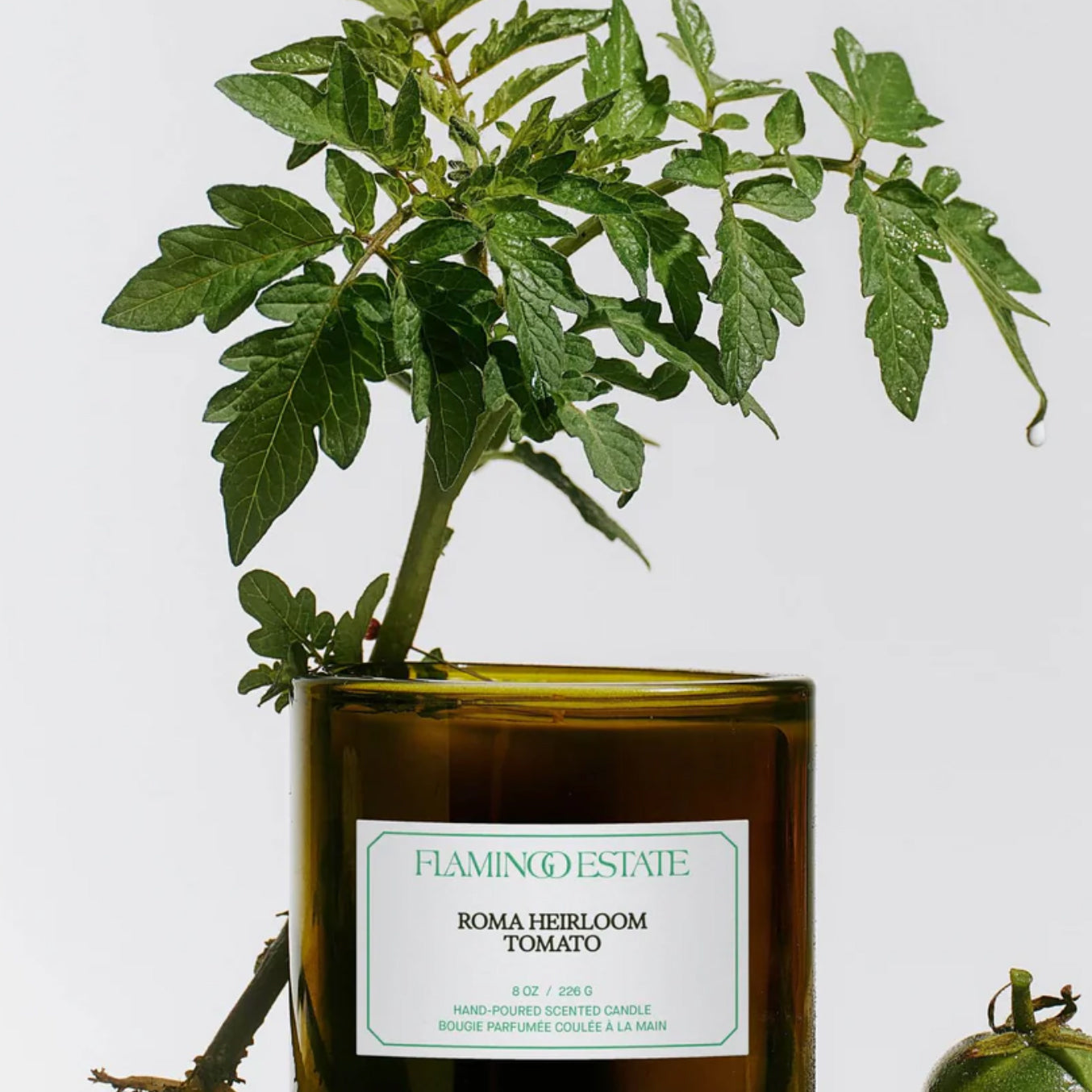 Roma Heirloom Tomato Candle