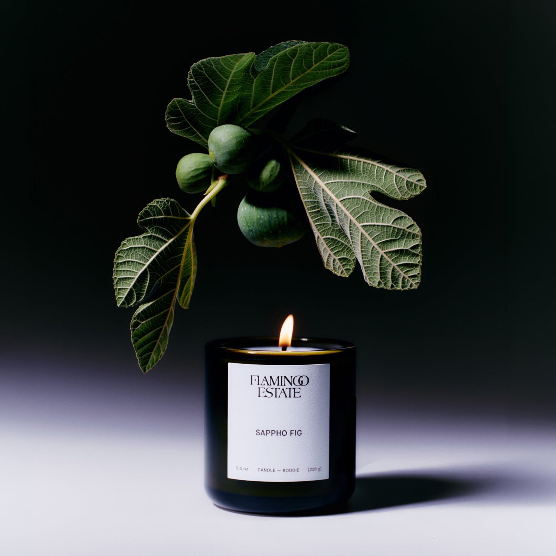 Sappho Fig Candle