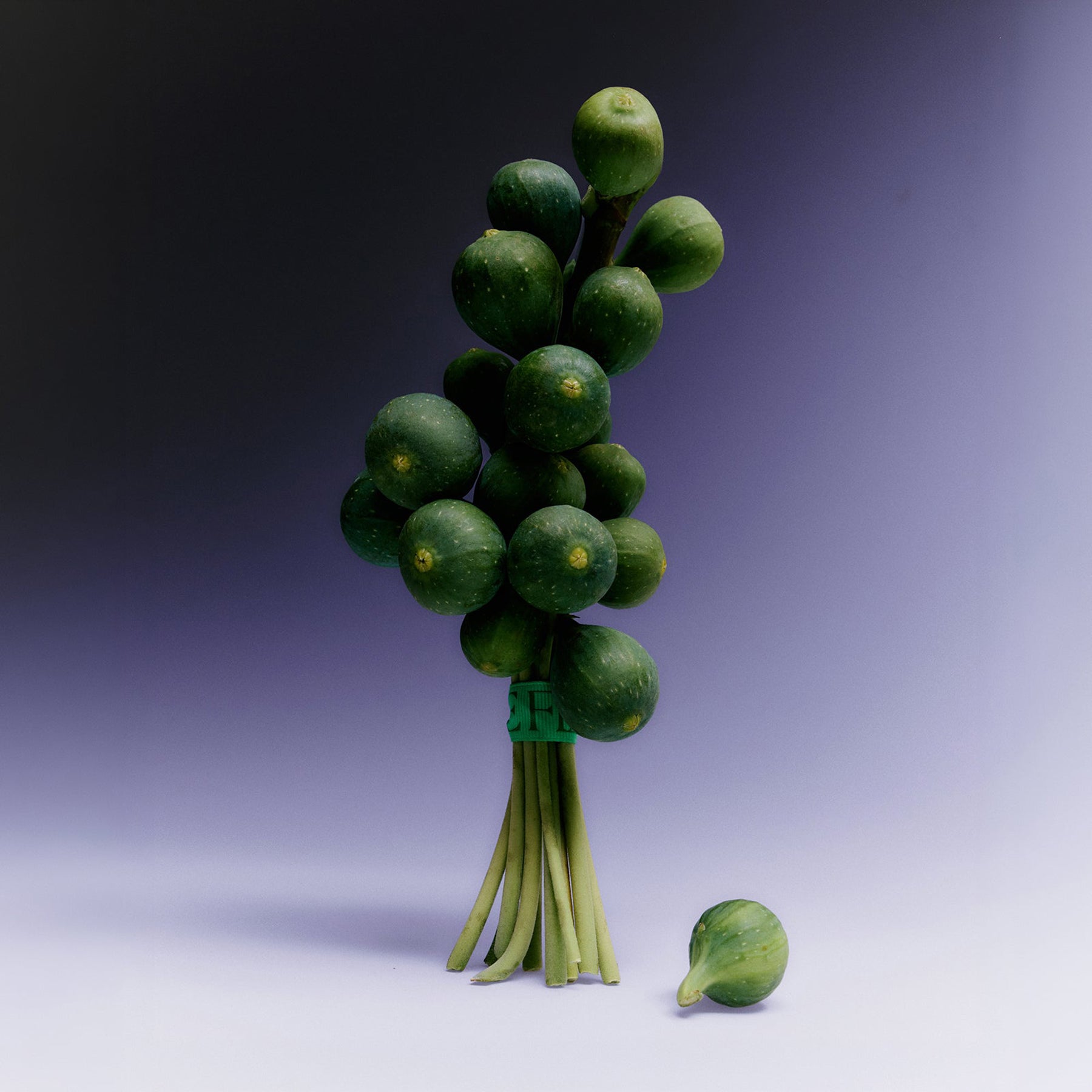 Sappho Fig Candle