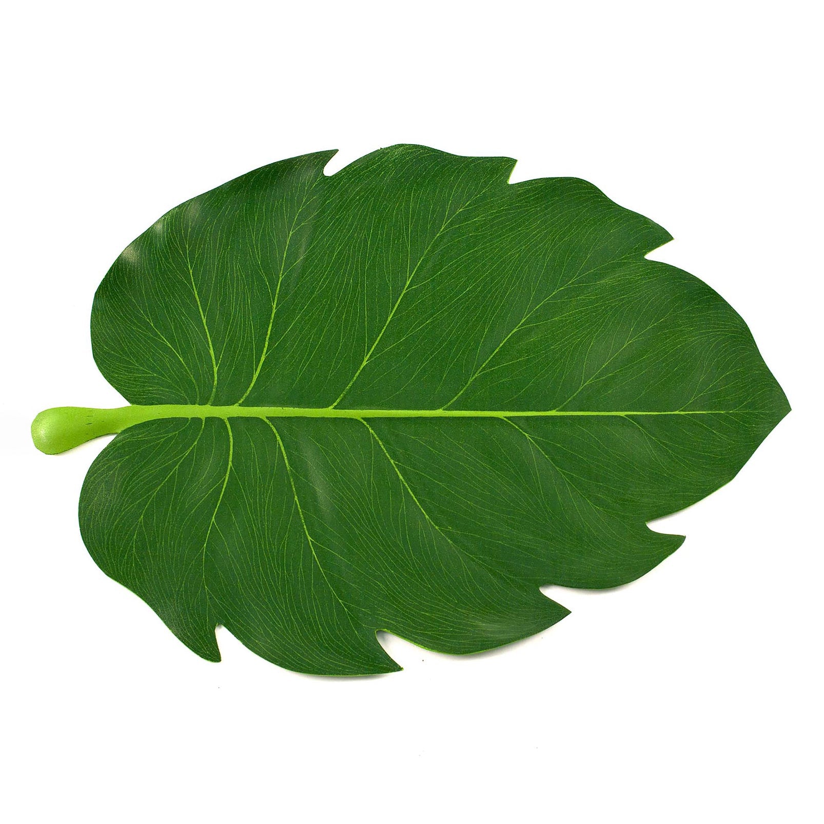 Balihai Table Decor - Final Sale