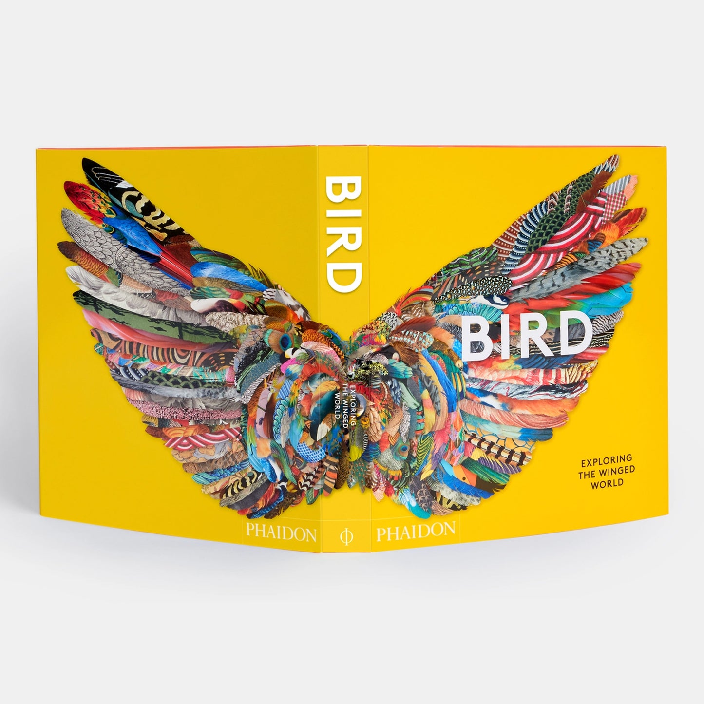 BIRD - Exploring the Winged World