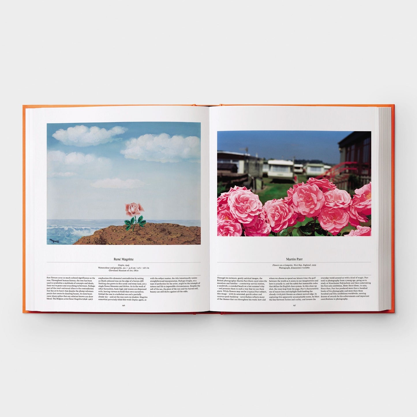 
                  
                    FLOWER - Exploring the World in Bloom
                  
                