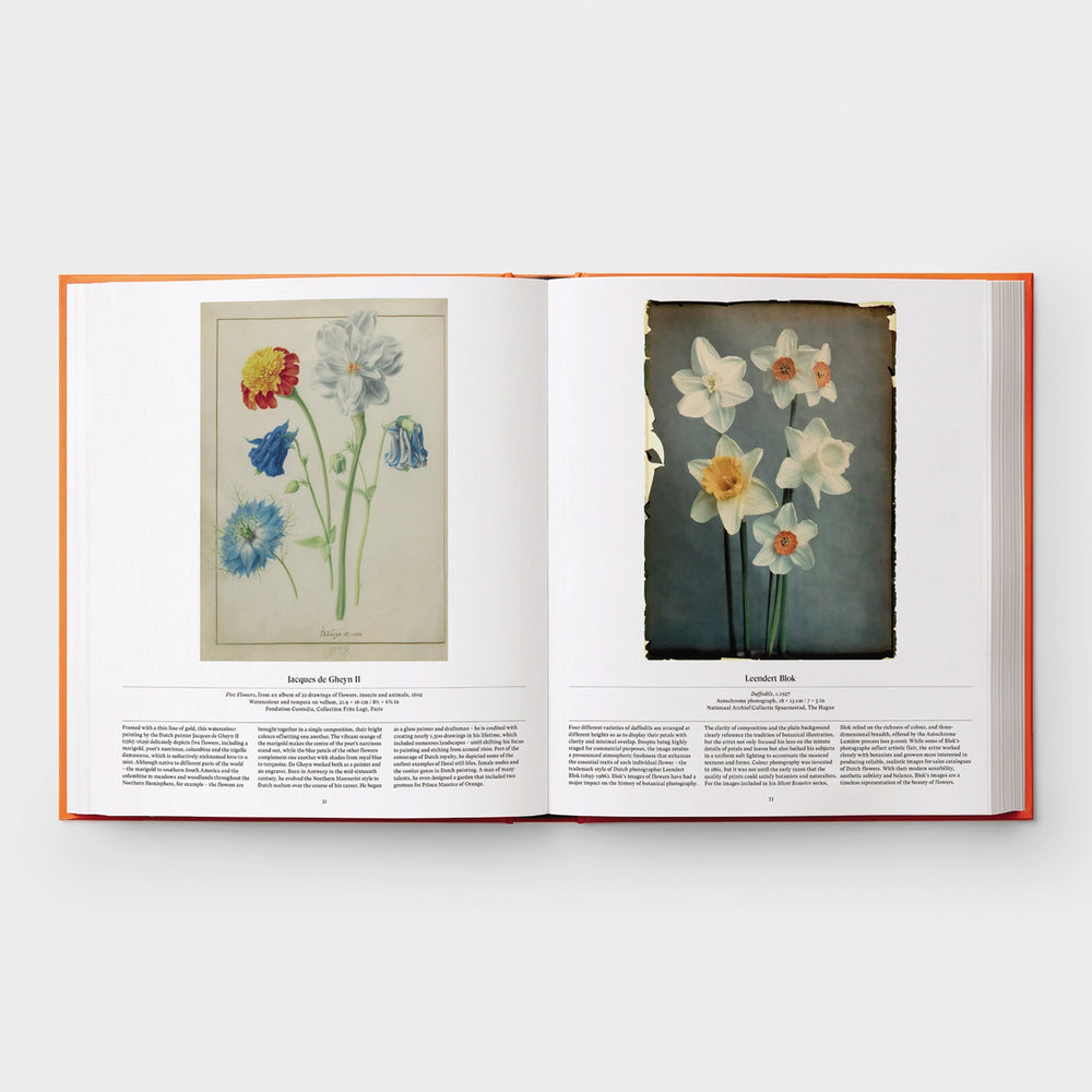 
                  
                    FLOWER - Exploring the World in Bloom
                  
                