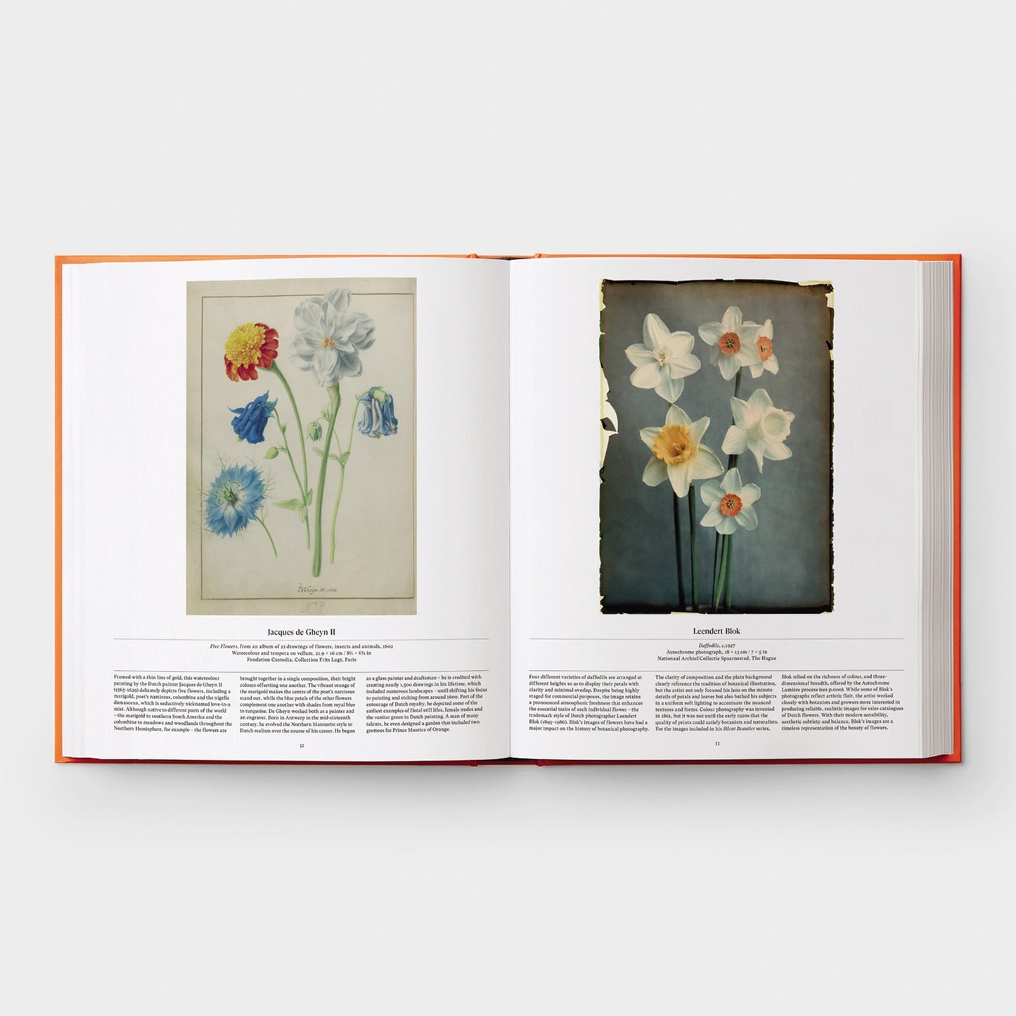 
                  
                    FLOWER - Exploring the World in Bloom
                  
                