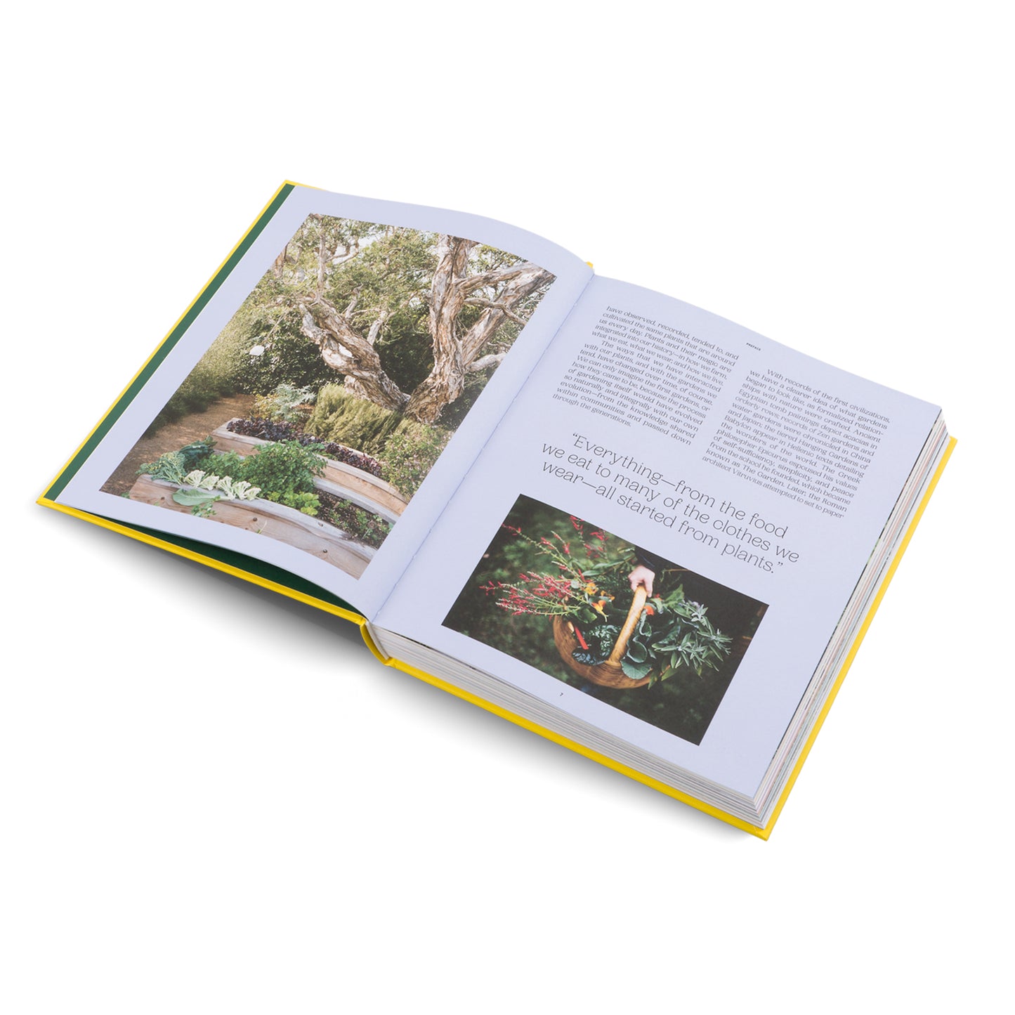 
                  
                    The Gardens of Eden
                  
                