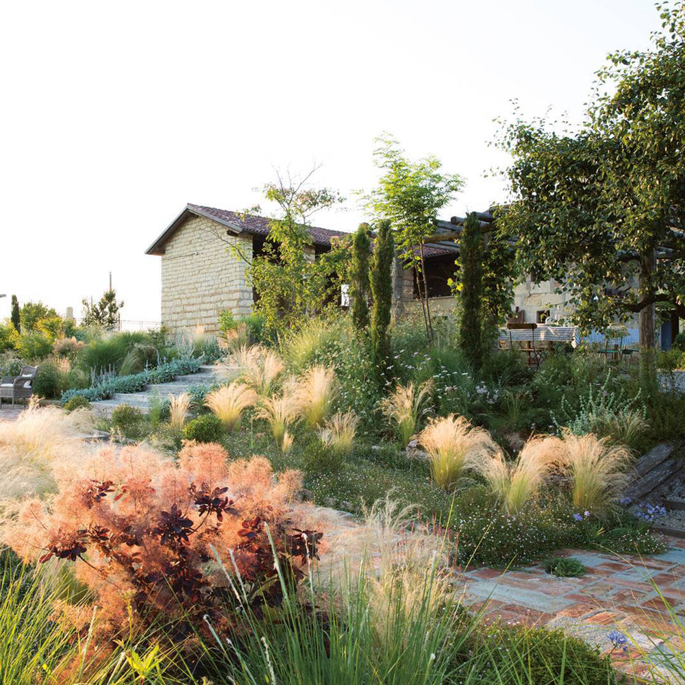 
                  
                    The Gardens of Eden
                  
                