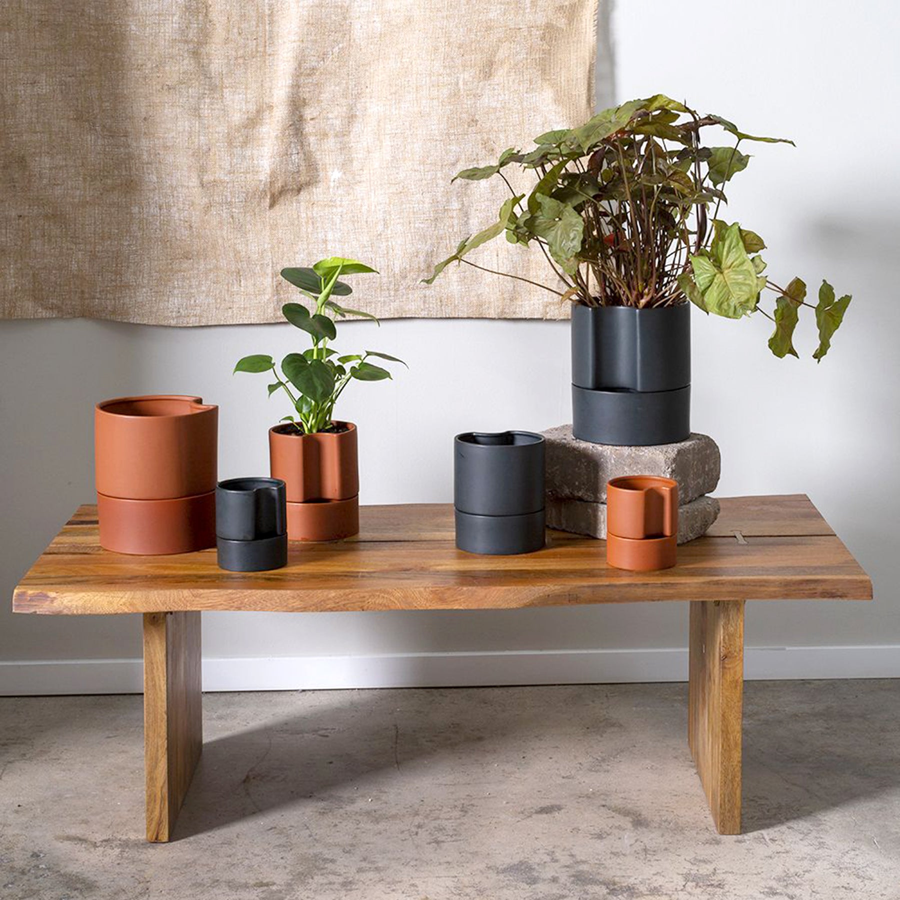 Jett Self-Watering Planter