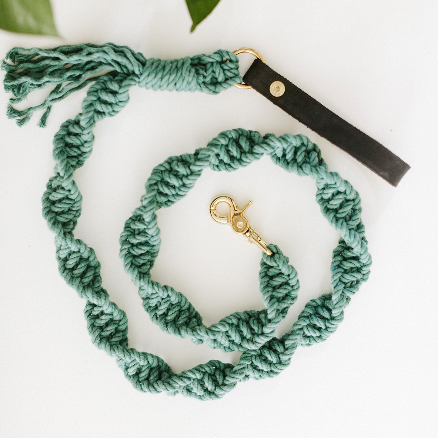 
                  
                    Macrame Dog Leash
                  
                