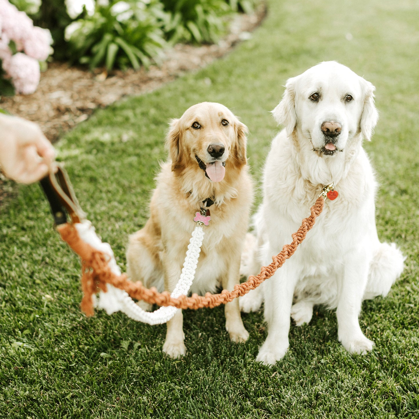 
                  
                    Macrame Dog Leash
                  
                