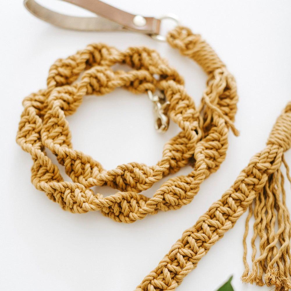 
                  
                    Macrame Dog Leash
                  
                