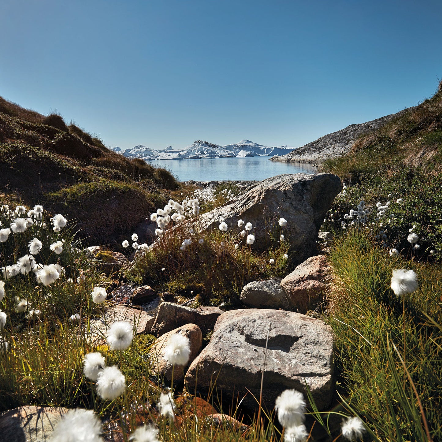 
                  
                    Nordic by Nature
                  
                