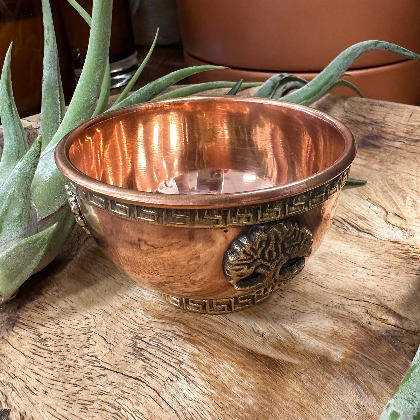 
                  
                    Tree of Life Offering Bowl
                  
                