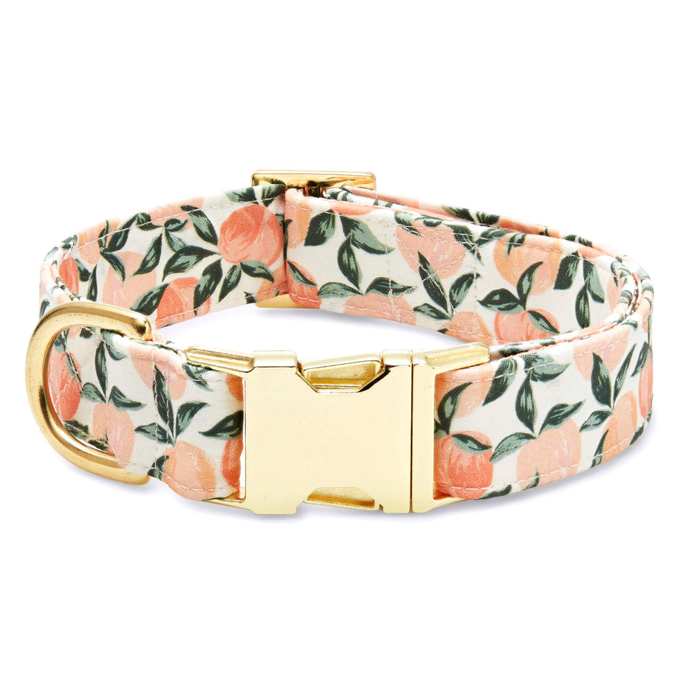 Summer Peaches Dog Collar
