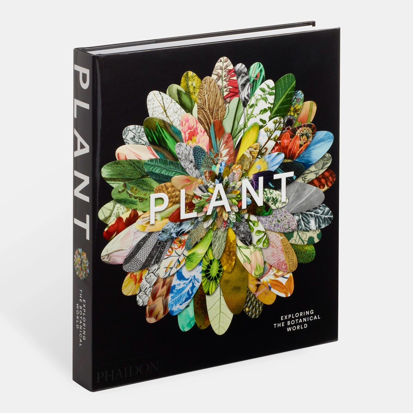 
                  
                    PLANT - Exploring the Botanical World
                  
                