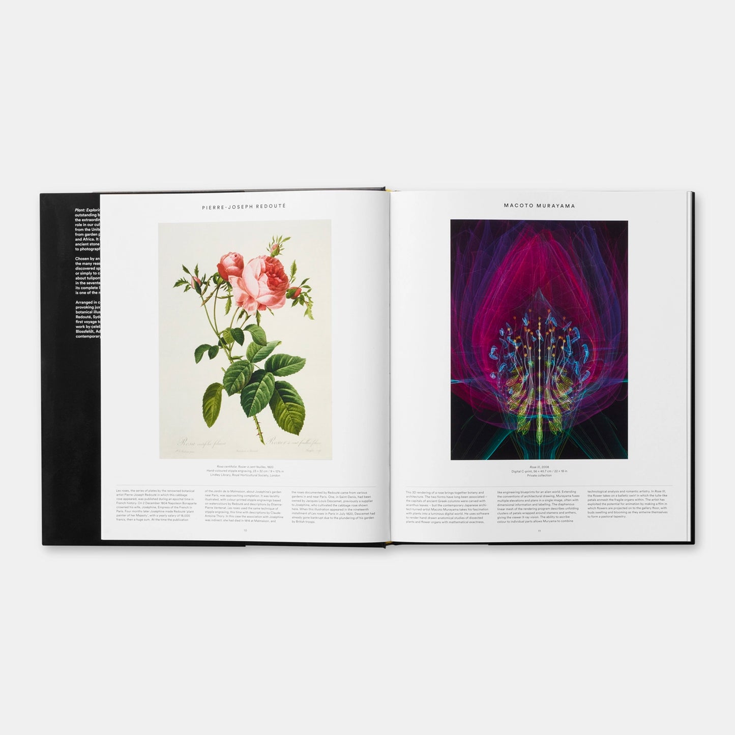 
                  
                    PLANT - Exploring the Botanical World
                  
                