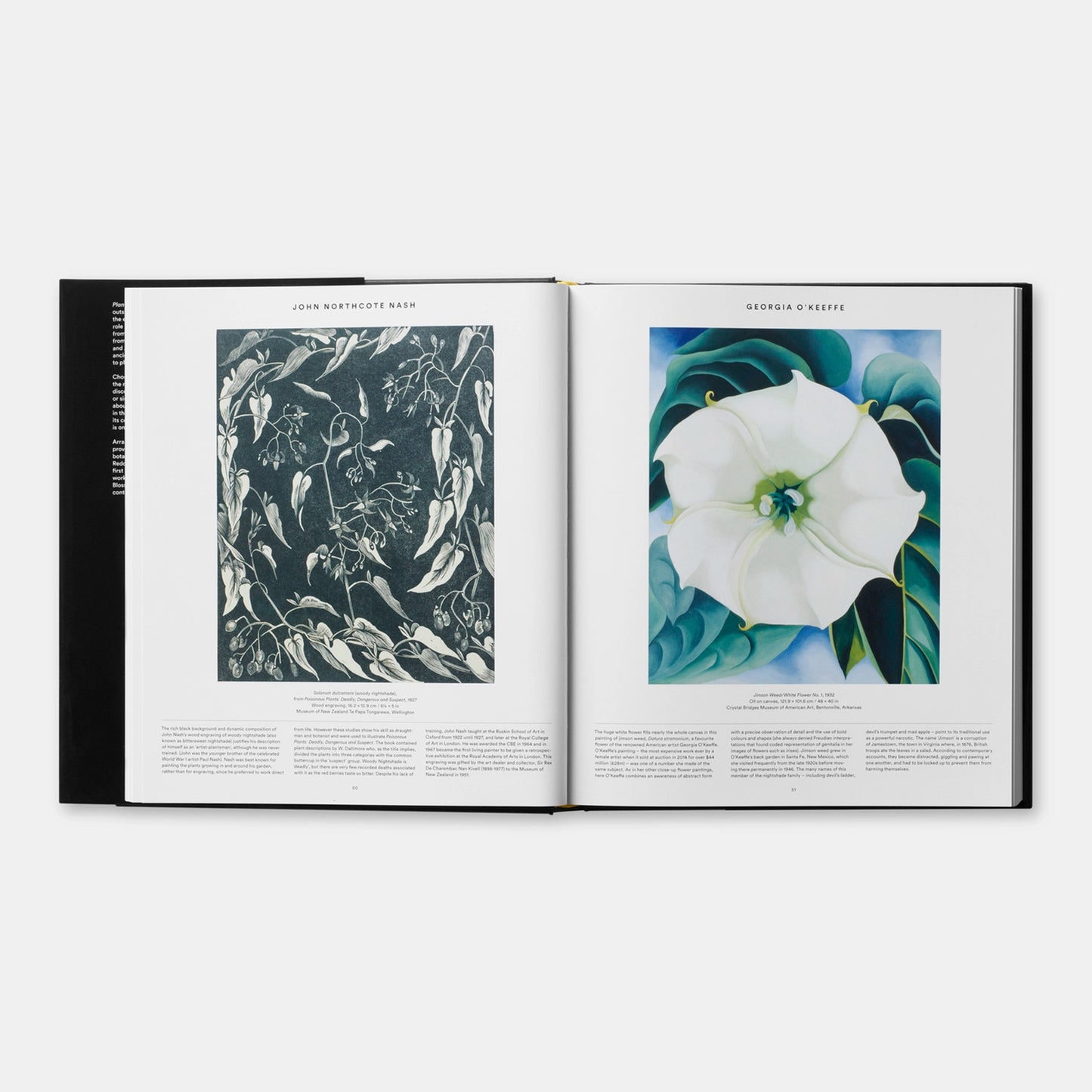 
                  
                    PLANT - Exploring the Botanical World
                  
                